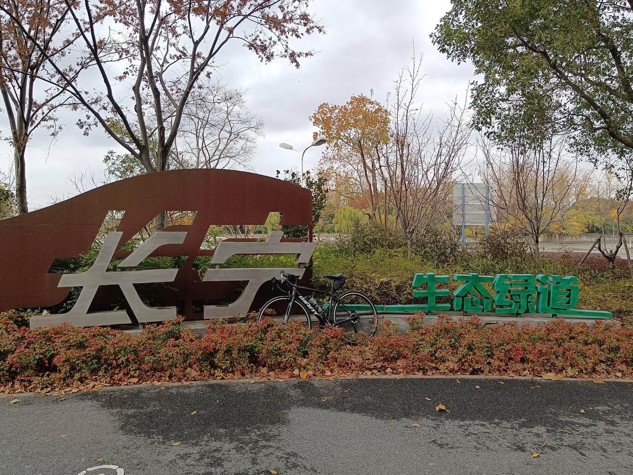 初冬的长宁绿道格外美。户外骑行