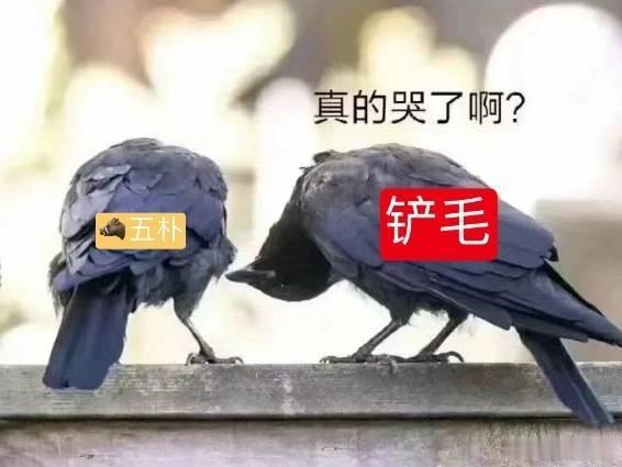 不是吧这就哭了？这场都没抢栏杆没挂长灯牌呢就受不了了