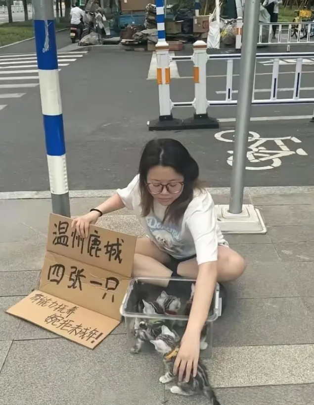 讲道理，这4块钱真便宜！