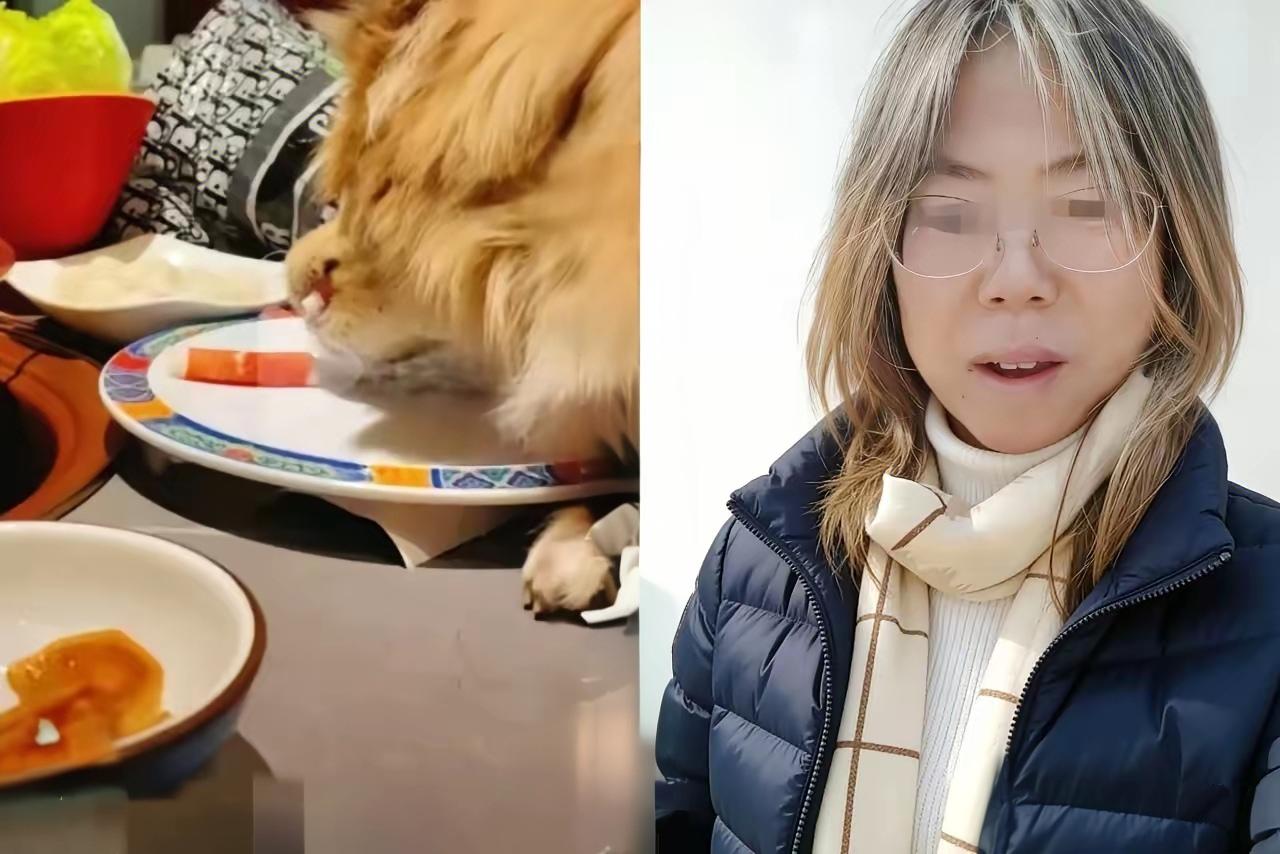 北京让狗上桌吃涮肉舔盘子的狗主人，这次踢到缺板了，老板也是真刚！宁可砸盘换碗，全