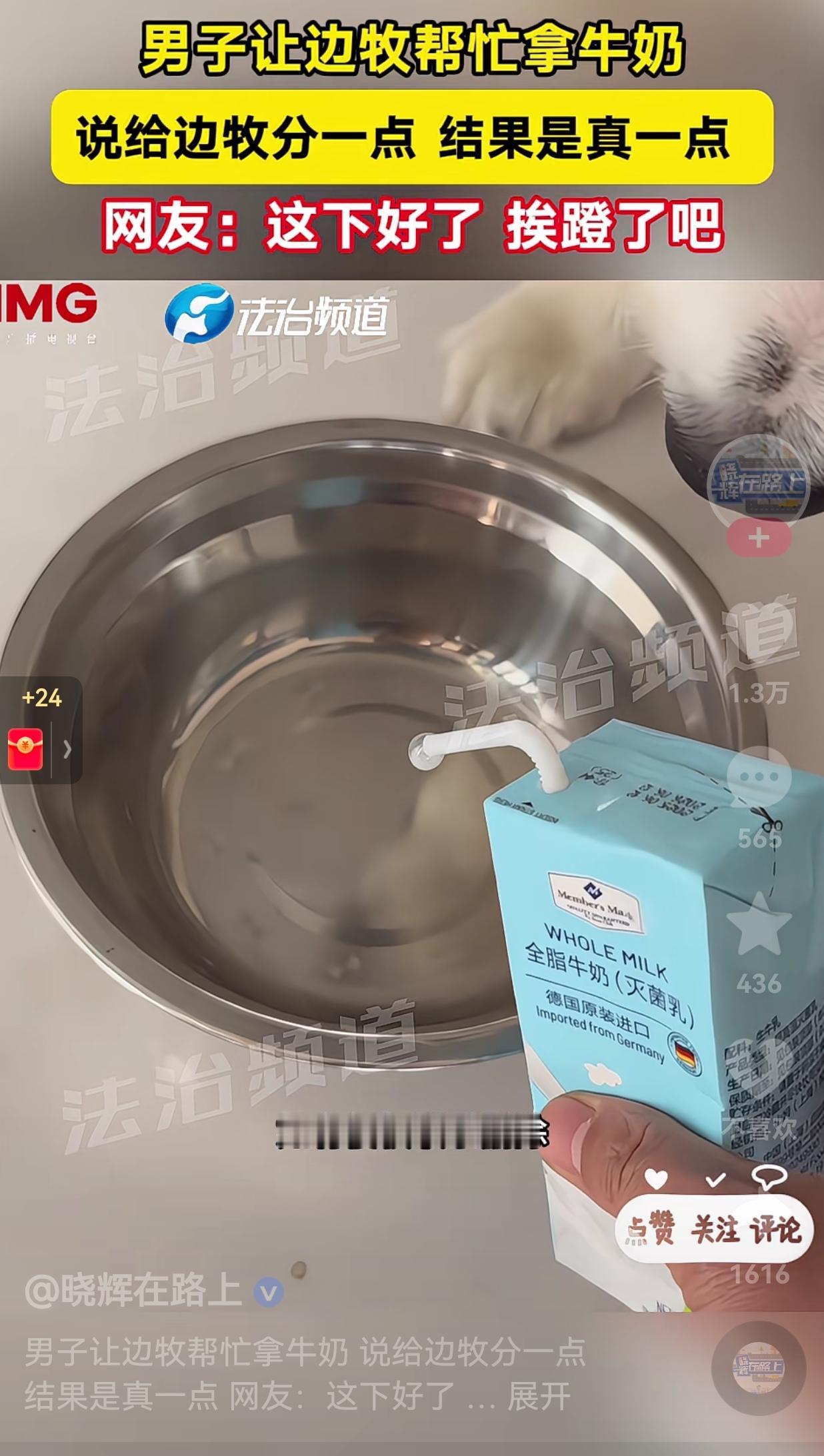 你是真的“狗”！一男子想喝牛奶却不想下楼拿牛奶，于是，就让自家的边牧帮忙拿一下。