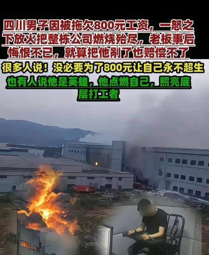 对于这条新闻，心净我真的是无话可说了！事情的起因真的是因为800块钱吗？错了