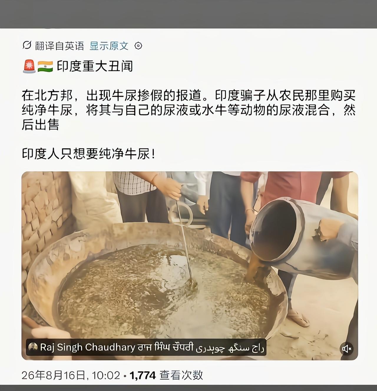 水牛为什么不算牛[吃瓜]