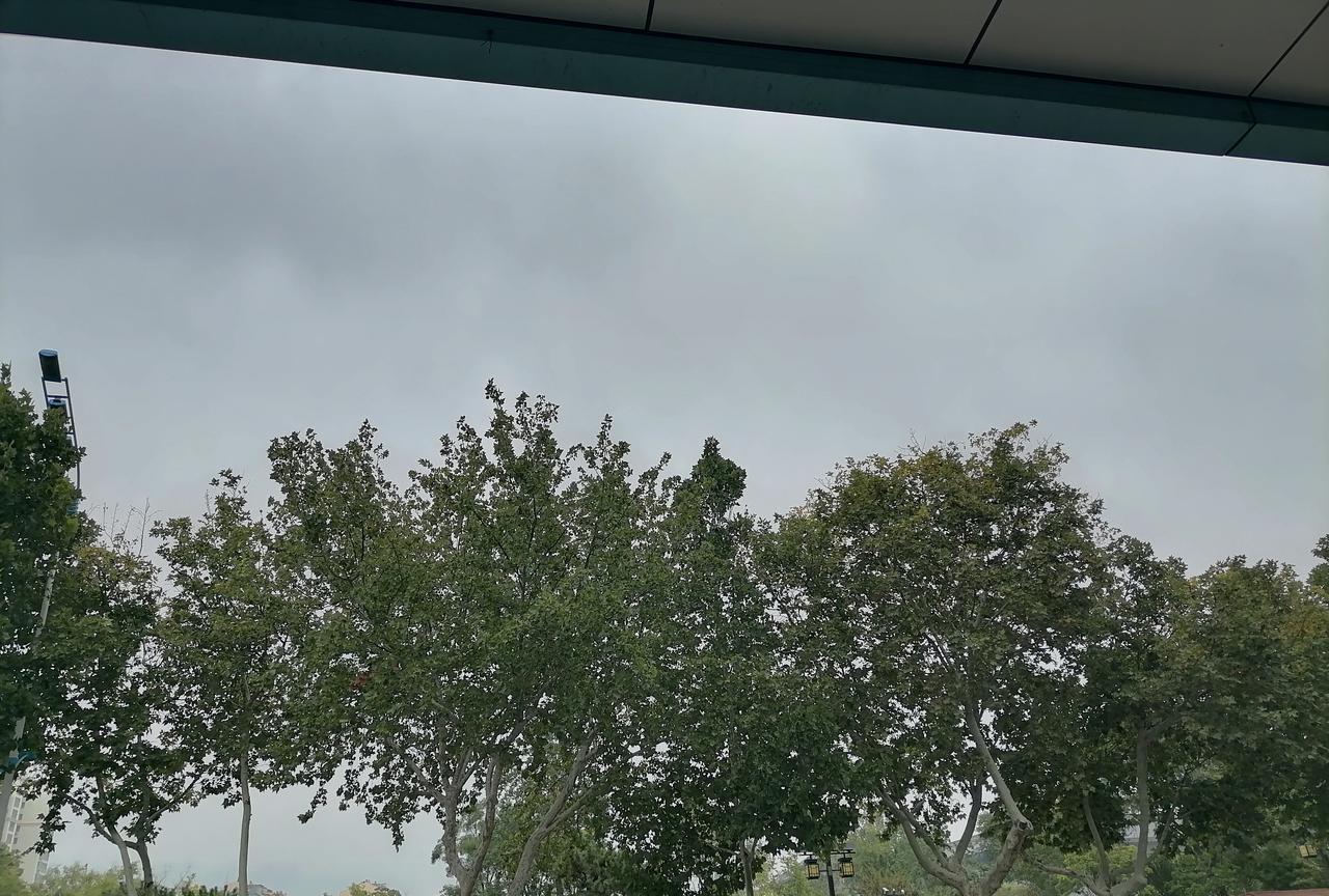 亲戚关系的常态是什么呢？所有的亲戚关系有一条必然规律，只能是越来越疏远，先别急