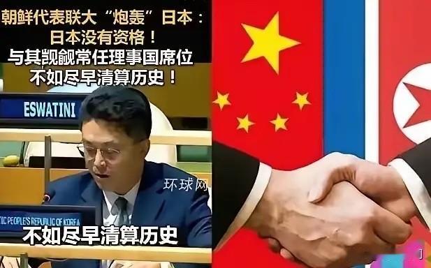 朝鲜在联合国大会上大骂日本！近日，在联合国大会上，日本常驻联合国代表在联大会议