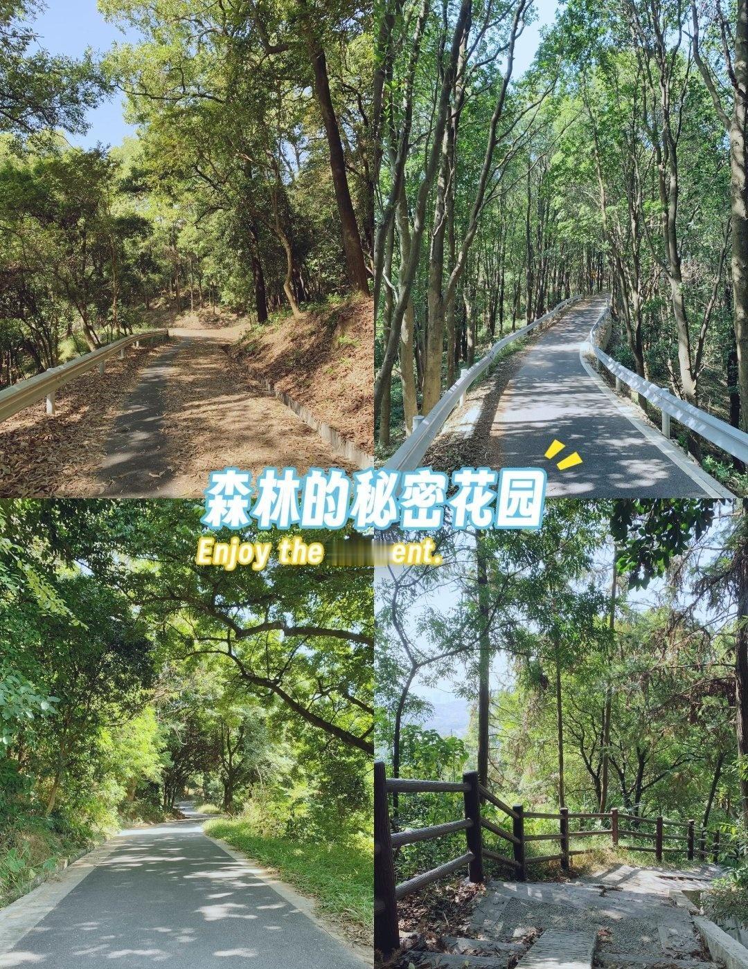 🌿广州香雪：小众徒步路线🌟📍广州想在广州找一个简单好走的徒步路线吗