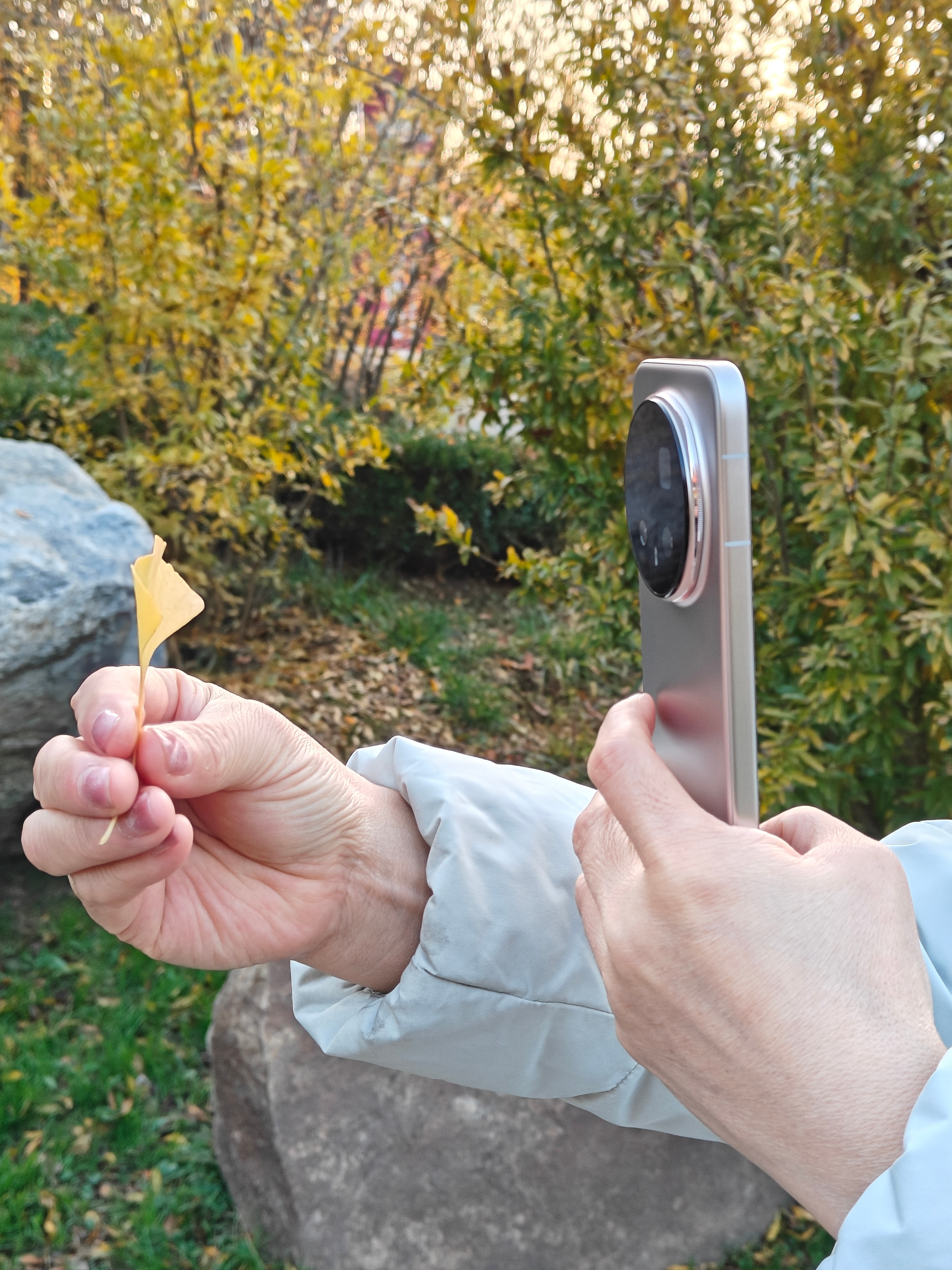 荣耀Magic8Pro金水公园随拍！周末遛弯，有一台拍照不错的手机，随时就可以