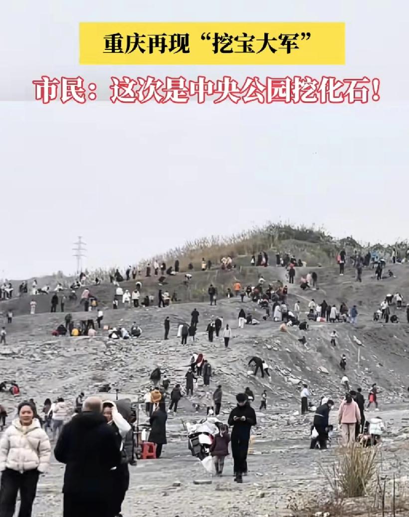 网传中央公园那边有化石，周末的时候很多家长带着孩子去挖宝，现在后续来了热门化石点