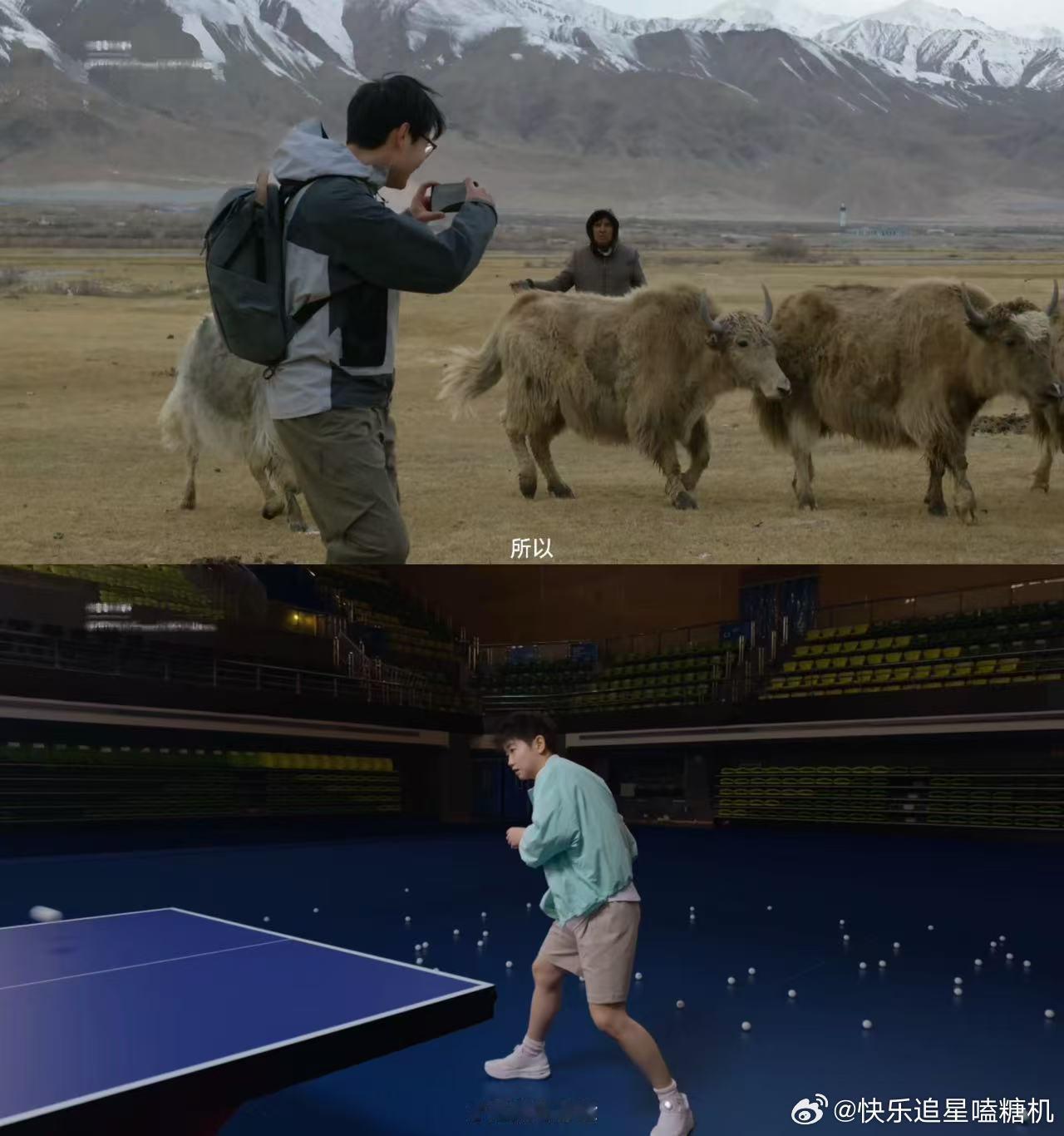 孙颖莎Links梦幻联动孙颖莎和links同框了，破次元壁成功。一个在球台上拼