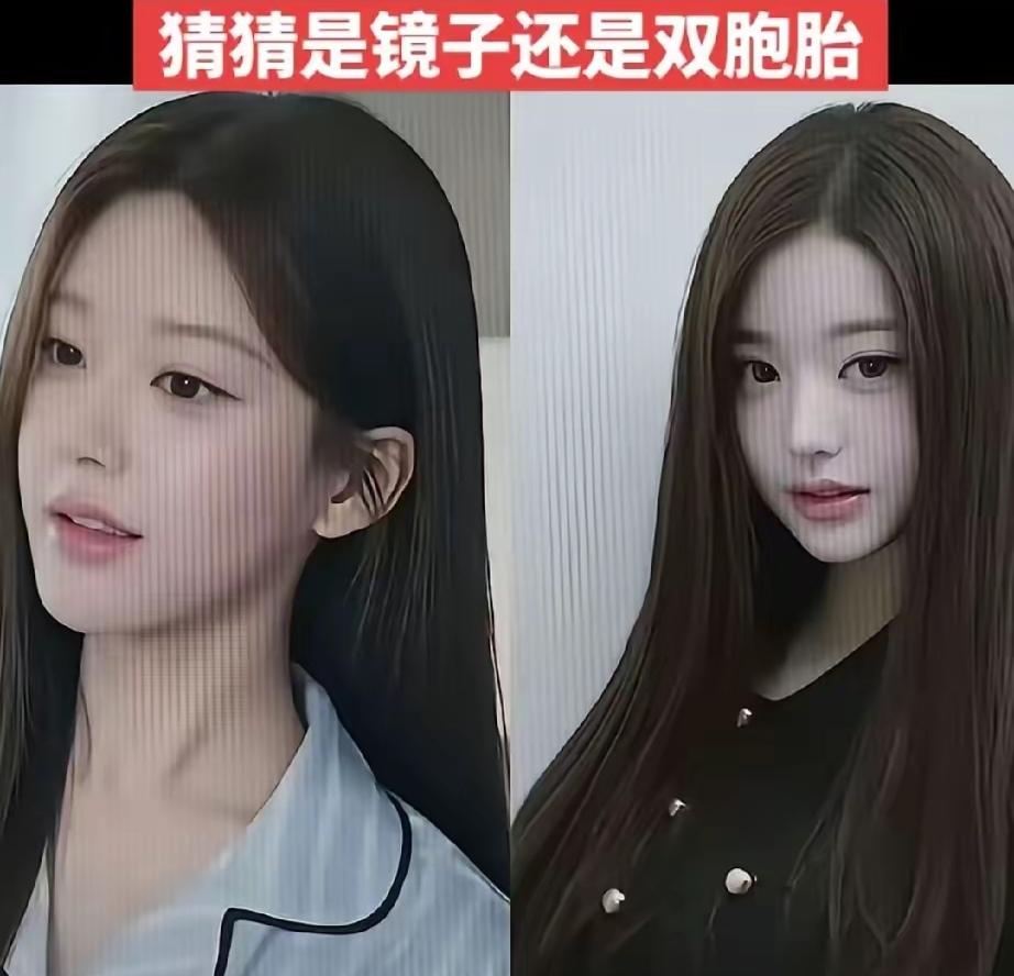 明明就是“双胞胎“，可为啥一个被说长得漂亮，一个被说长得普通？说到内娱的赵露