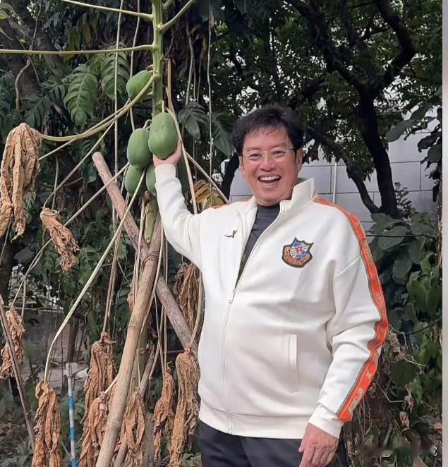 香港明星谭咏麟坐大巴车回到家乡江门新会农村，在祖宅的旁边，看到一棵木瓜树上长了几