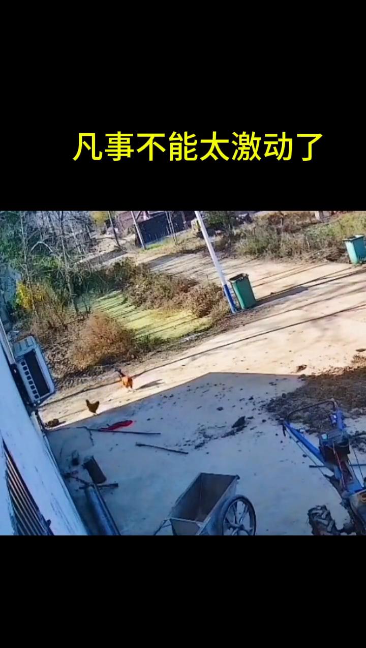 凡事不能太激动了。