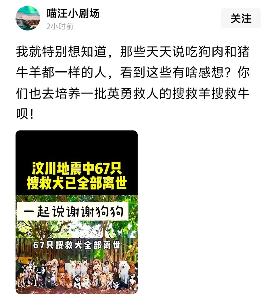 用宠物犬照片代替搜救犬，是何居心
