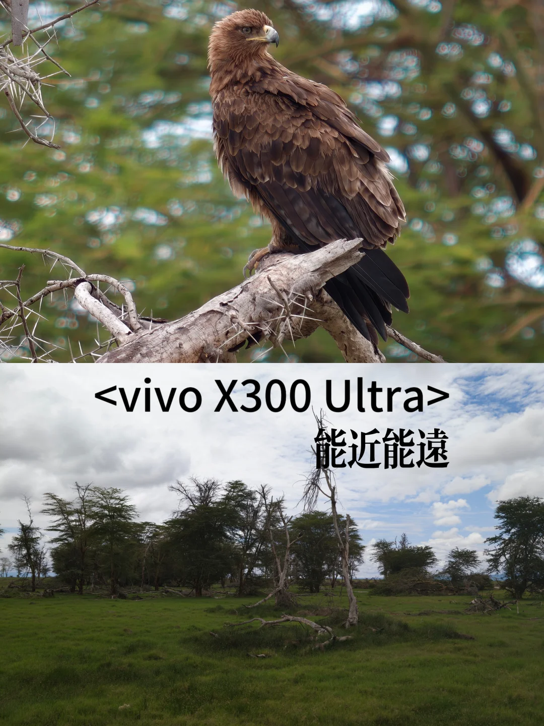 ​vivo X300 Ultra长焦新解法！这口红真强