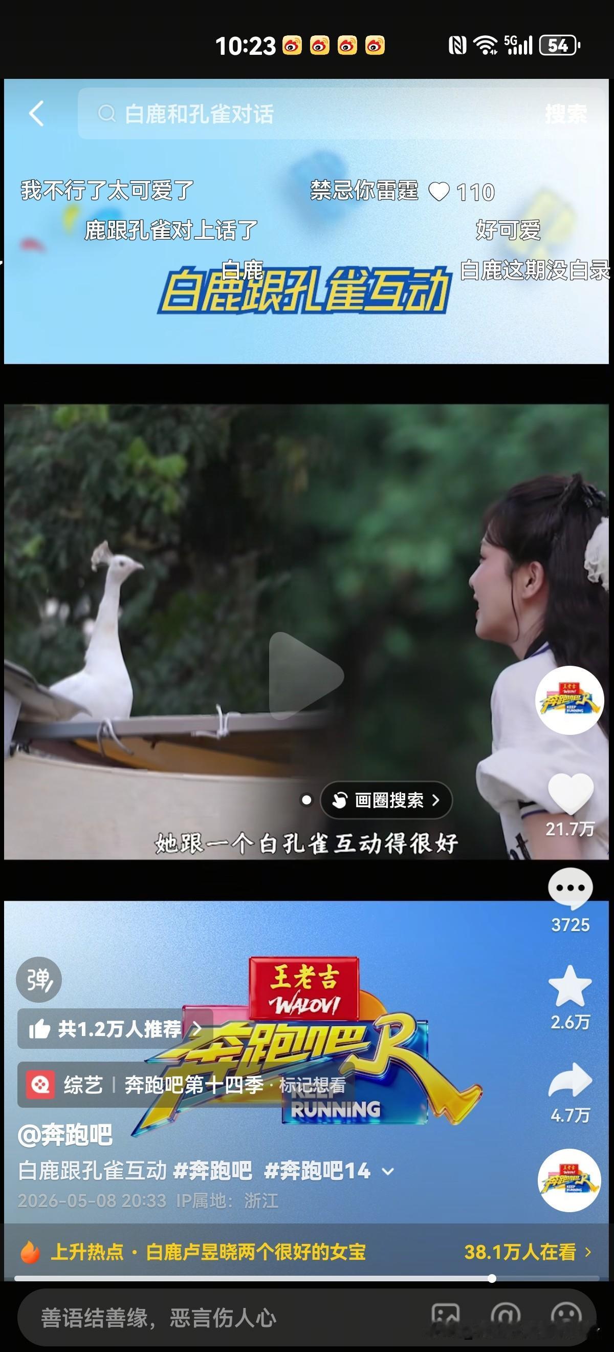 有人说白鹿被黑了这么久为什么不出来回应，反而是奔跑吧被说收视低立刻出来辟谣。