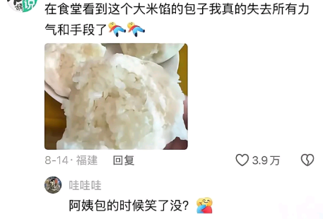 阿姨包的时候笑了没