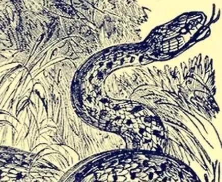 1705年，康熙50多岁翻牌子时，还会翻德妃的牌子。宫人们私下议论：“一般妃子3
