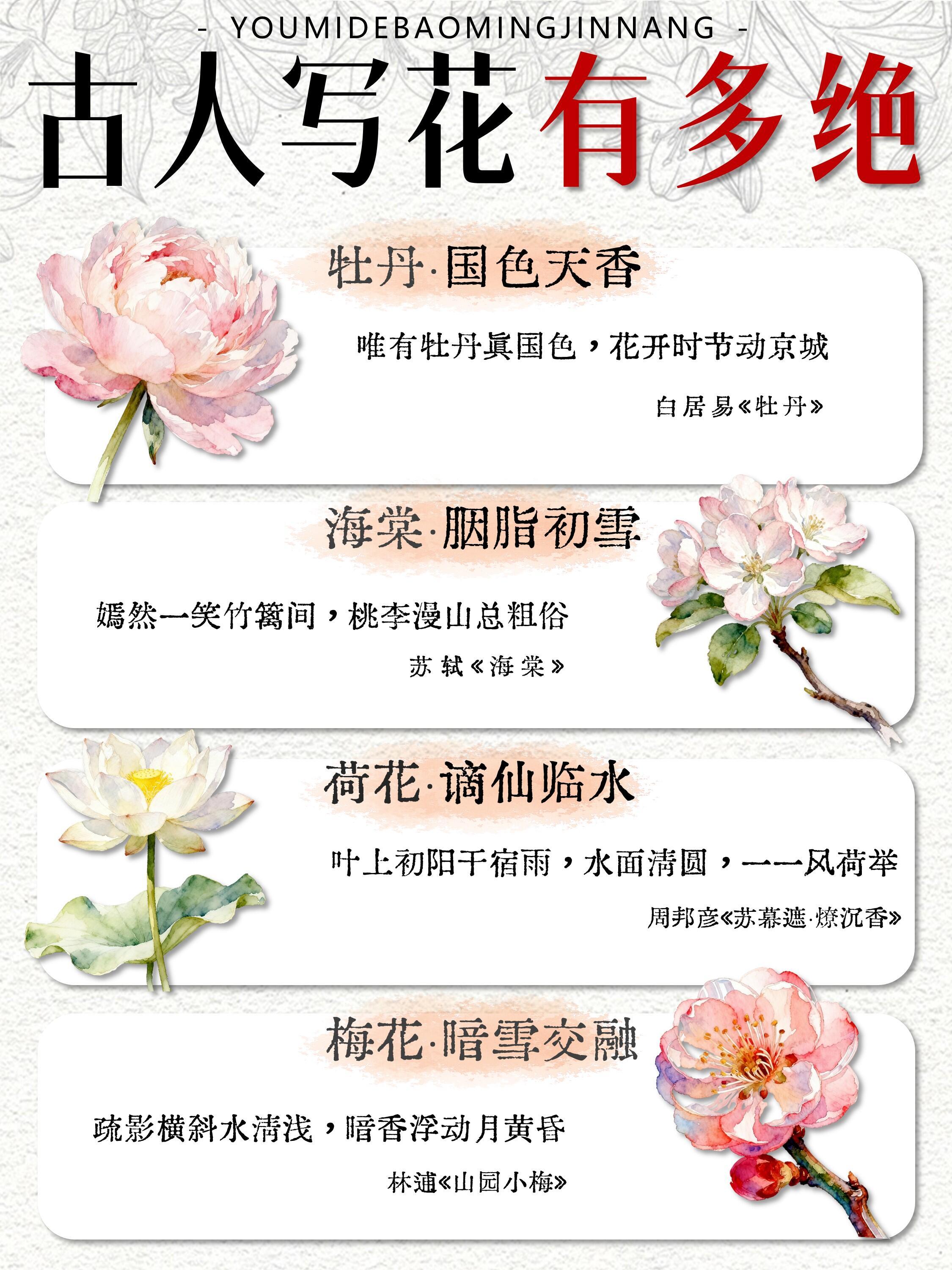 诗词里的花🌸｜写尽中式浪漫