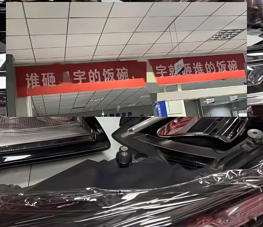 有人不免担心，星宇这件事以后，将对企业走出去会产生更大的阻力！欧盟美国什么也