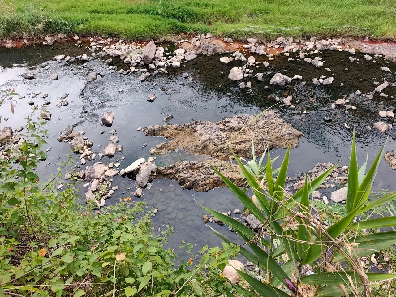 为什么要学会做交易因为，这个世界，就是销售最赚钱。只要你放下面子，去摆地摊，多少