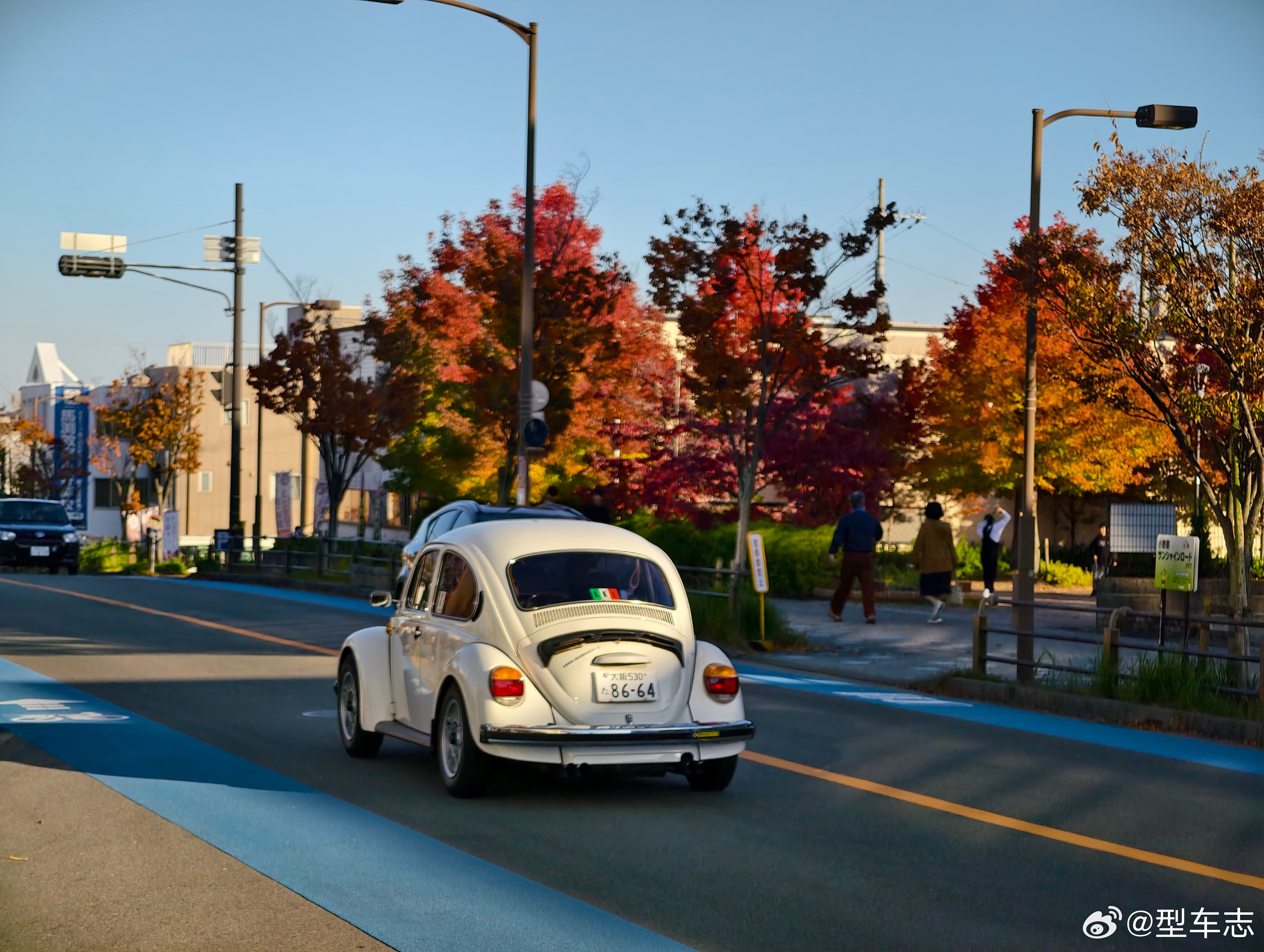 偶遇经典大众甲壳虫。史上最成功的车型之一，从1938年一直生产到2003