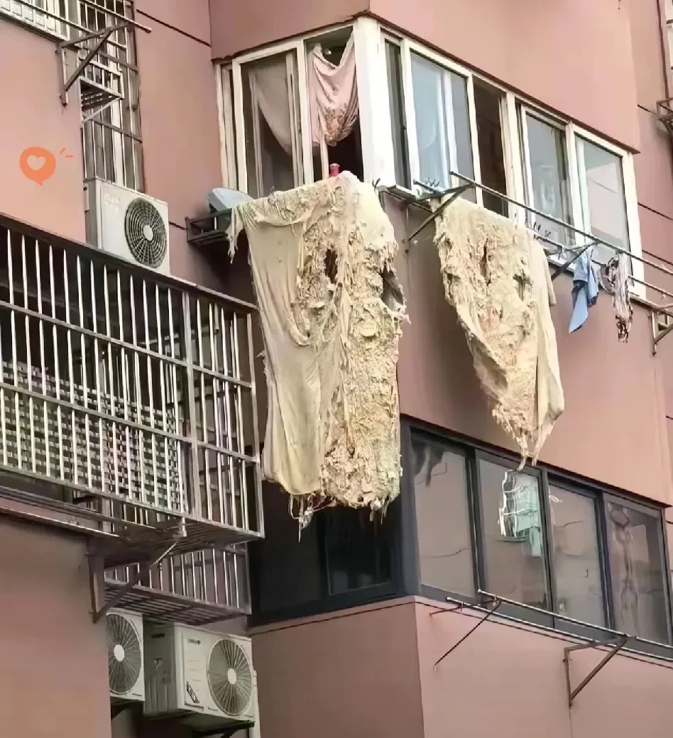 哎哟我天，楼上那家邻居真是要给我整崩溃了！他们阳台上挂的那床破被子，脏得都看不出