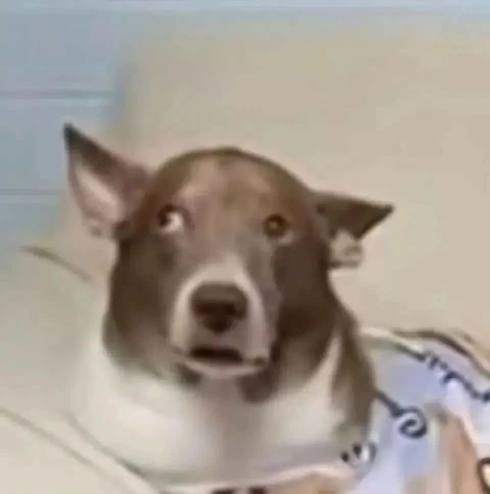 不好用的表情包我不发