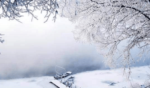 数九寒天, 冷在三九? 三九养生有什么讲究?