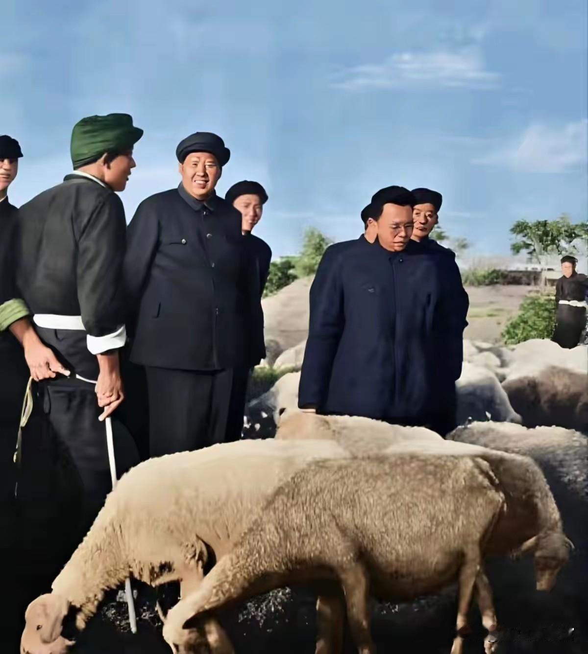 一张老照片拍摄于1958年8月4日，地点为河北保定安国农村，毛主席到此下乡视察农