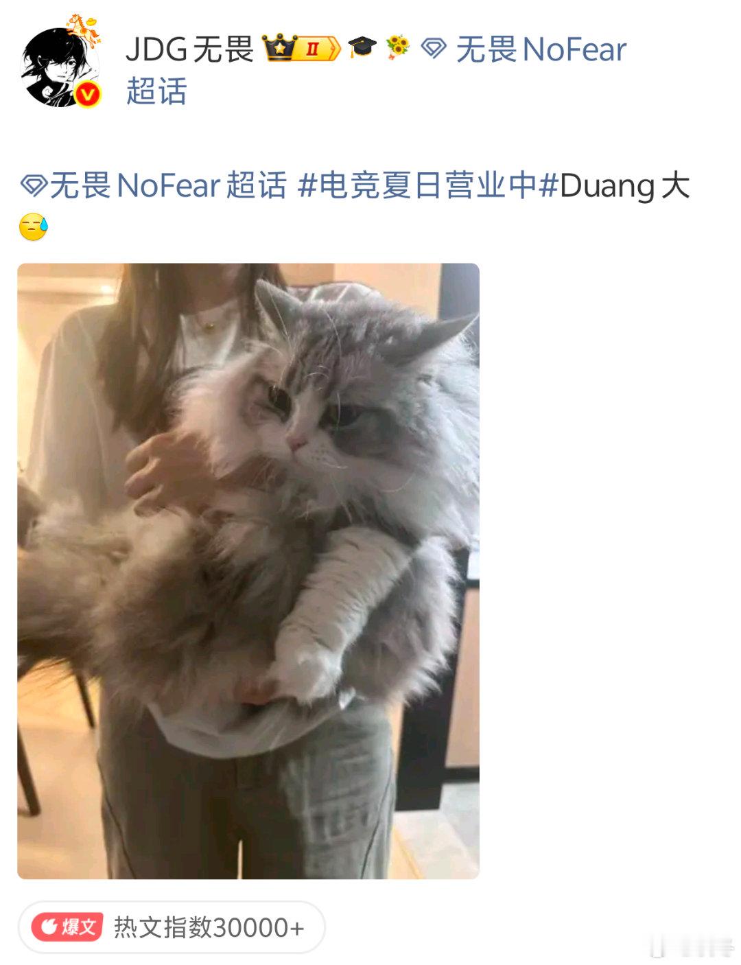 无畏为自己的猫正名了财财体型争议引发全网热议，无畏主动下场为猫咪发声，反驳过度