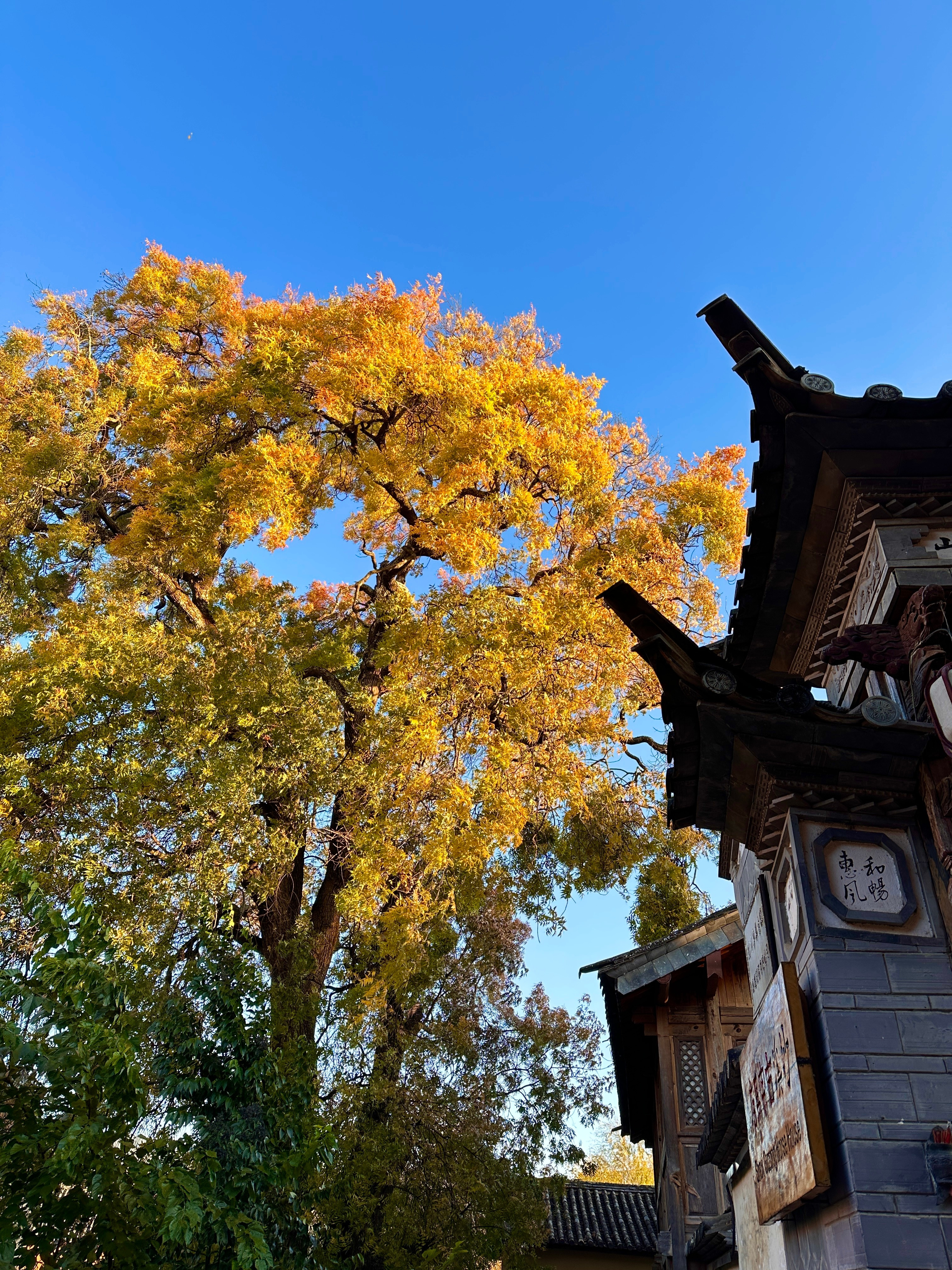 杭州又降温了想念在沙溪被太阳晒透的下午涞觅润丝今天穿什么