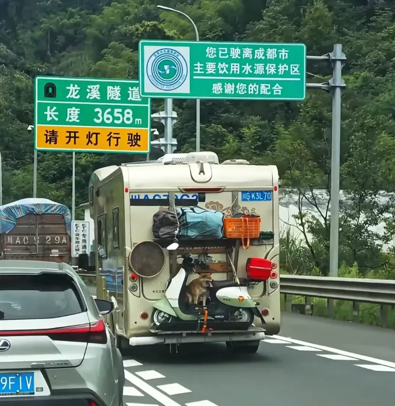 交警叔叔估计头都大了，这管还是不管好啊。