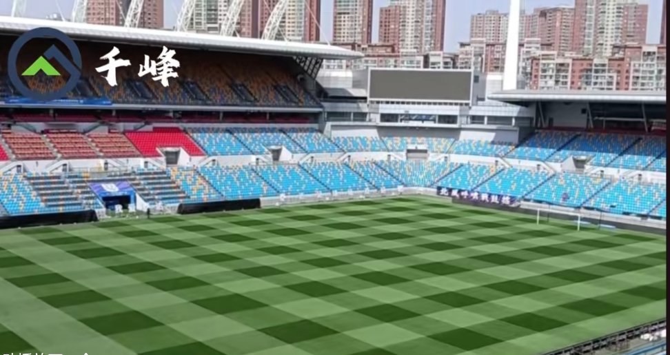 震惊了，我的天！！！天津津门虎队主场泰达足球场这草皮什么水平？？？？天津津门虎v