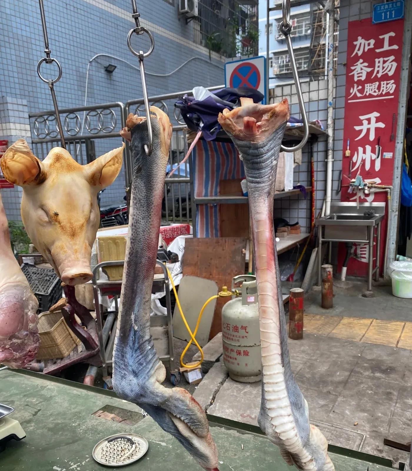 这是什么腿呀？有知道的吗？