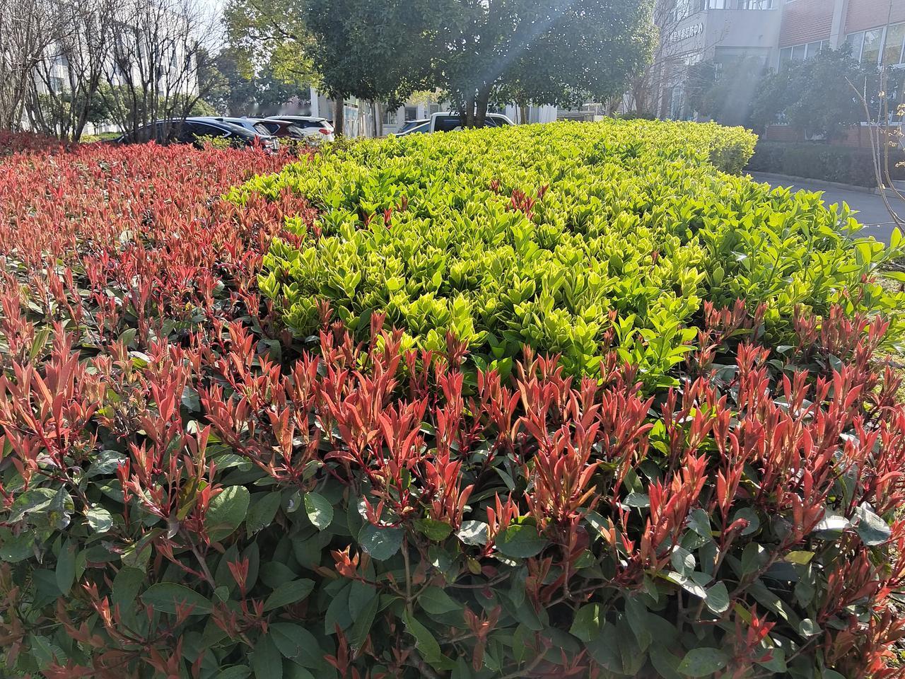 你家的洗衣机用来洗过鞋子吗?我家的洗衣机从来都没有洗过鞋子，因为洗衣机洗衣机