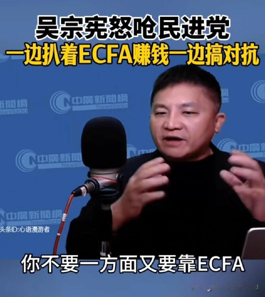 国民党文传会主委吴宗宪怒斥民进党：有种你把《海峡两岸经济合作框架协议》（ECFA