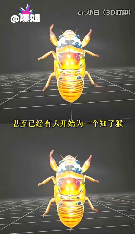 山东常年抓知了猴的这批人，最近大多栽了跟头，攒了十几年的抓捕经验直接失效，原因不