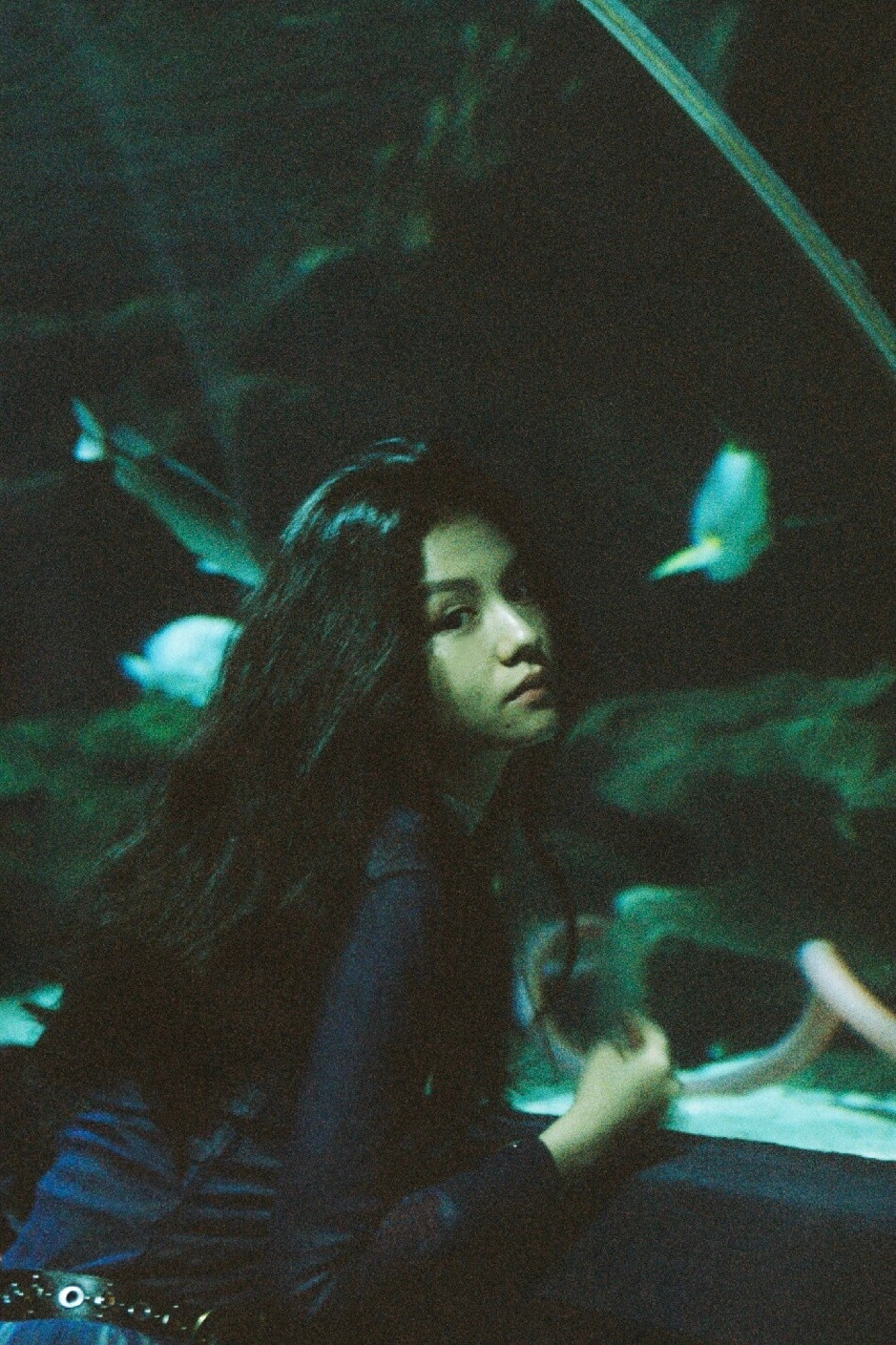 2017年，摄影师滨田英明镜头下的春夏。​​​