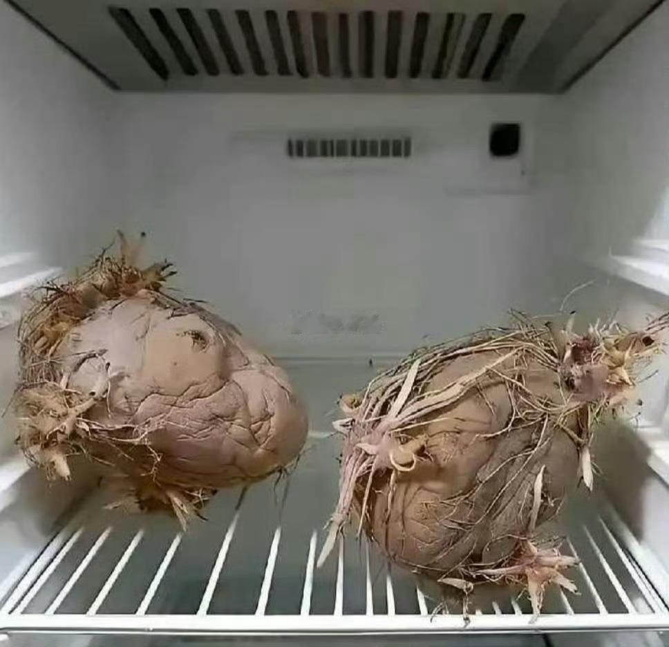 老一辈就是节约，殊不知电费都比他们贵