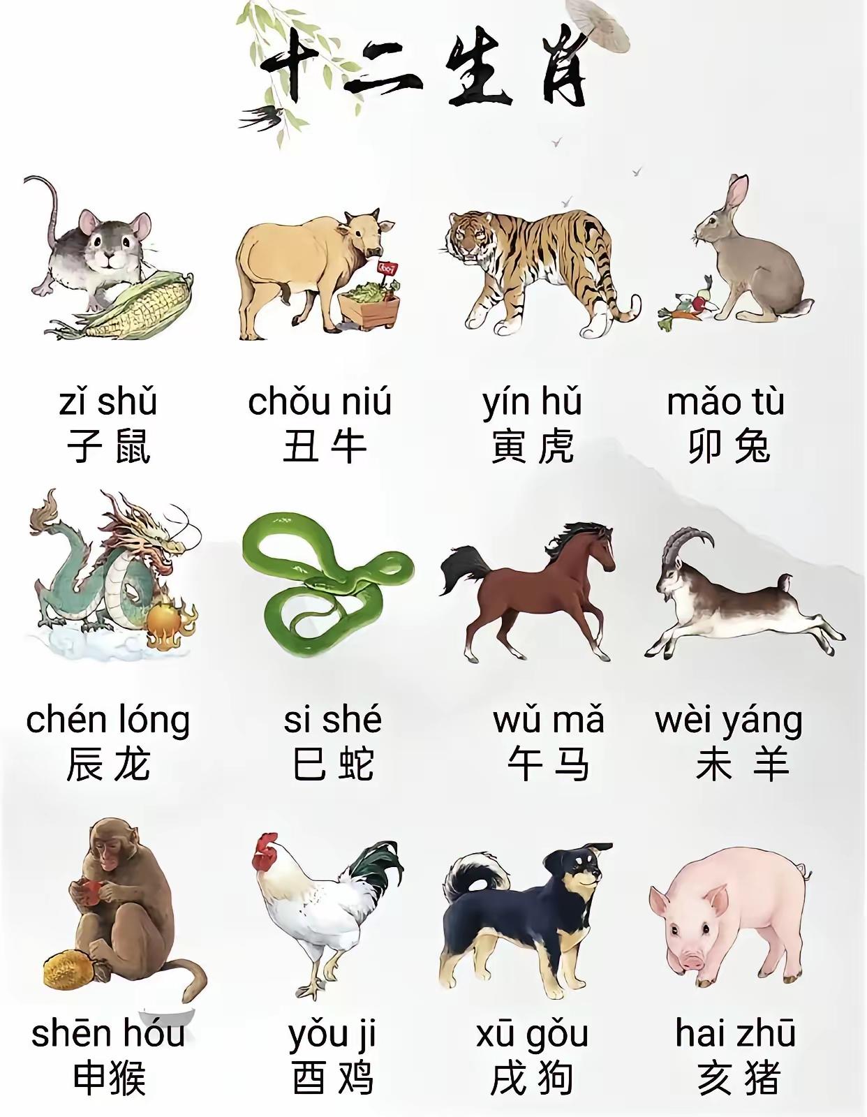 绝对想不到，十二生肖不同生肖有这么多？1、属鼠--事多；2、属牛--钱多；