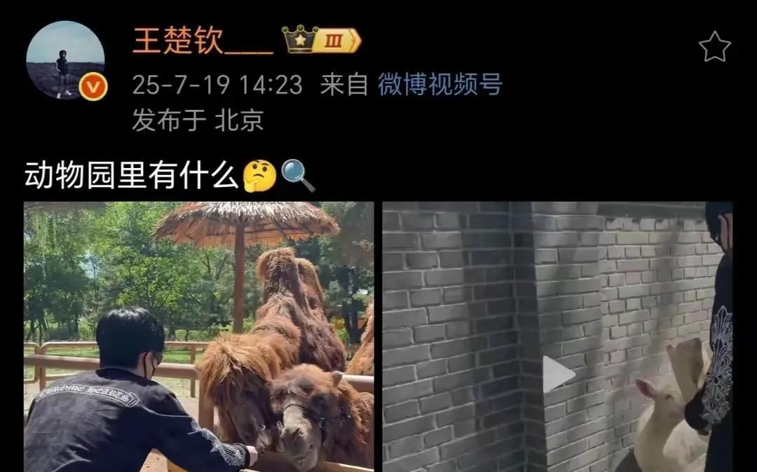 王楚钦的最新动态太暖了！北京时间7月19日下午，他在社交平台晒出两张动态图——亲