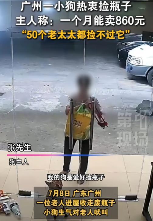 “万物皆有灵！”7月8日，广东广州，一位老人进屋收拾废瓶子，一旁的小狗却非常的生