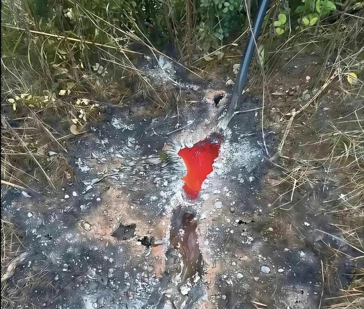 这就是高压电线的威力，还好是落在地上