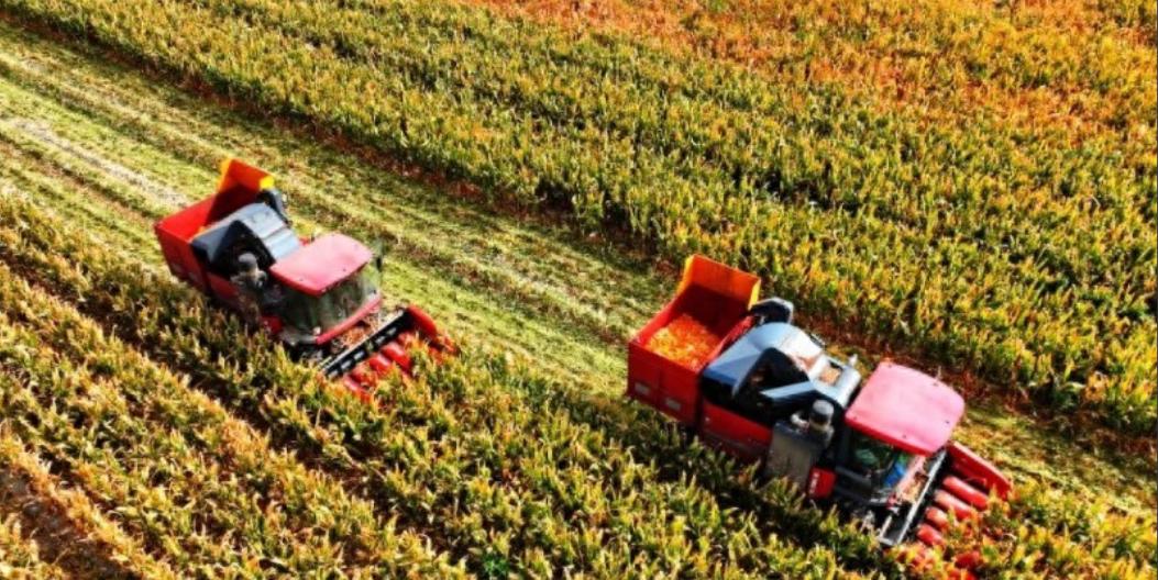 /哈萨克斯坦的农业专家来新疆考察，据说回去的时候，一个劲儿摇头。不是觉得不好，是