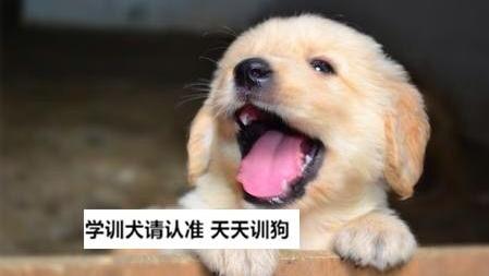 8848866970659977460.jpg?id=0