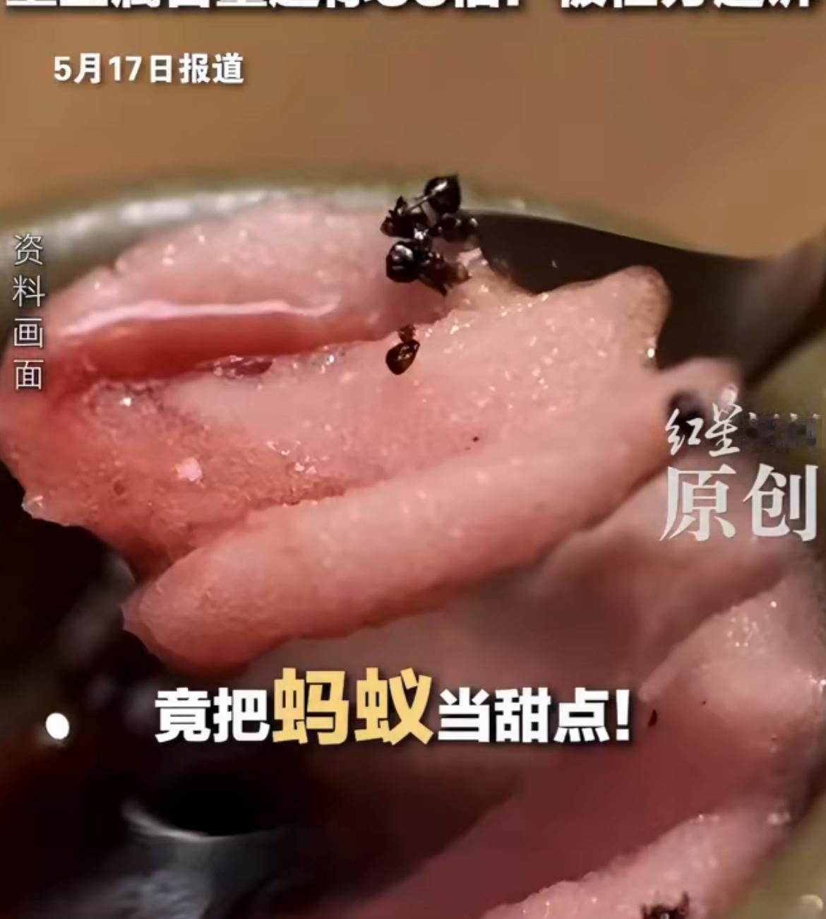 韩国米其林餐厅卖蚂蚁甜品，蚂蚁的重金属超标55倍，这家米其林二星餐厅推出了“蚂蚁