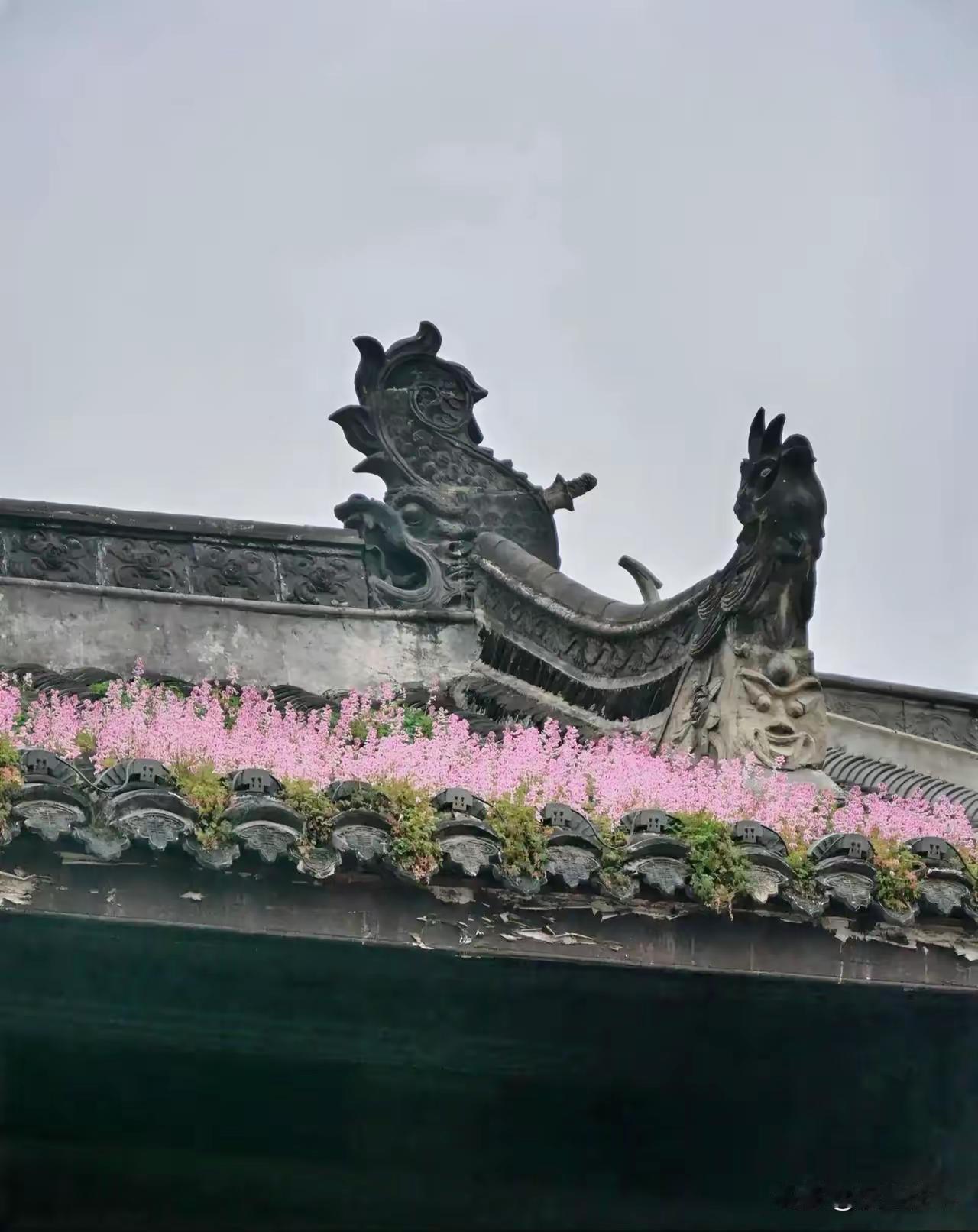 我姐姐小的时候，见过天上的仙人，她看见的不是一个，是一组。虽说那时小，但也不