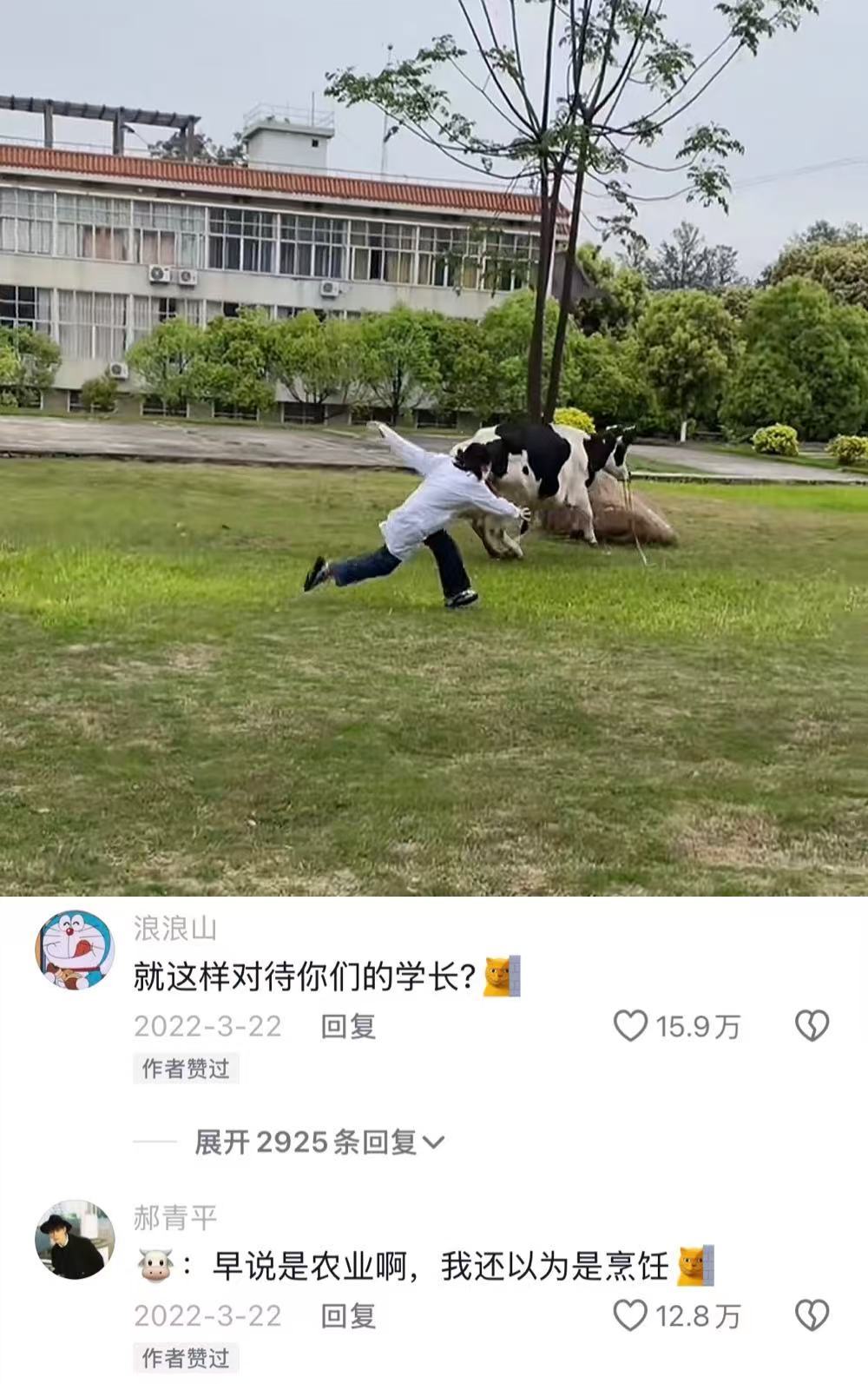 农学生毕业论文保卫战心酸又好笑🤣👌破防只在一瞬间[抱抱]🤩[求关