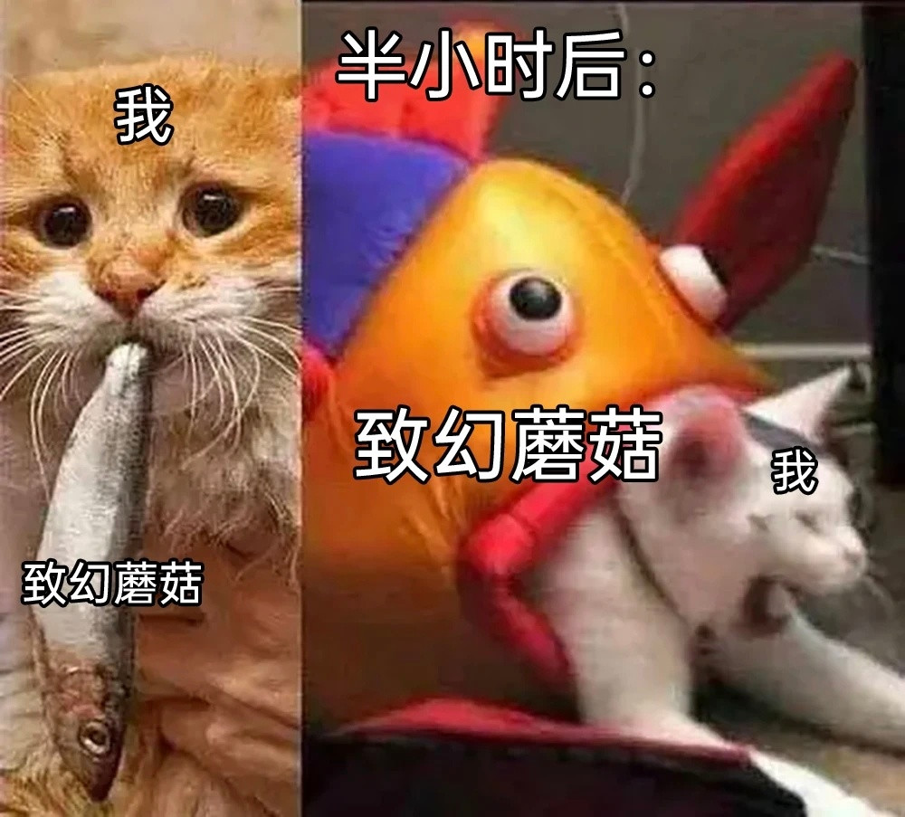红伞伞，白杆杆～​​​