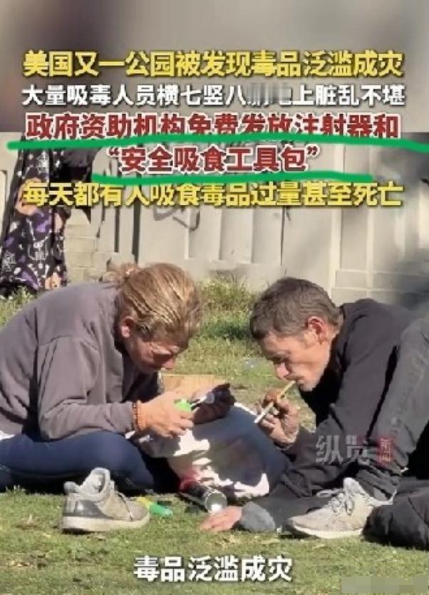 去罪化！这就是赵宏之类的最终目的！美西方对我们内部的渗透破坏从未断过，所以各